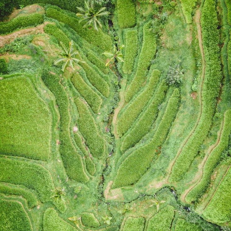 Outdoor terrace seating suitable for families in Amsterdam